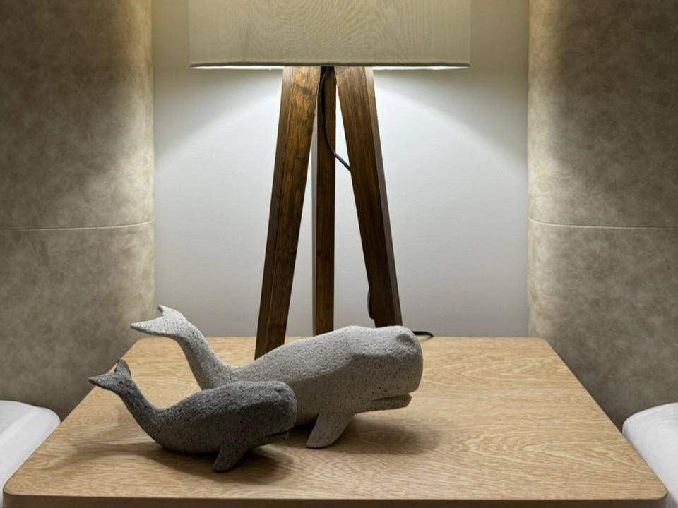 WhatsApp Image 2025-12-04 at 5.01.58 PM